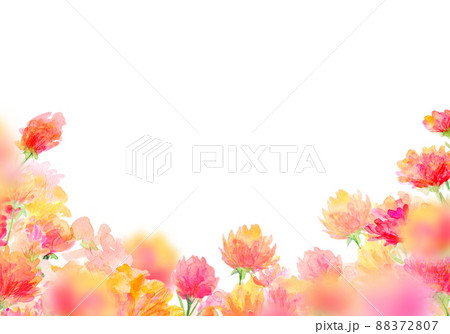 カーネーション畑　背景素材 88372807