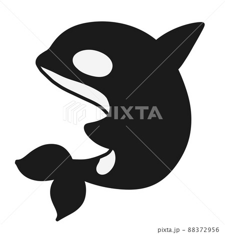 Orca, the king of the sea, orca, sea creatures - Stock Illustration  [88372956] - PIXTA