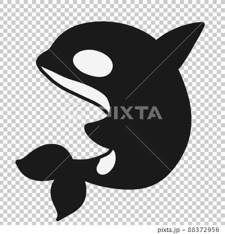 Orca, the king of the sea, orca, sea creatures 88372956