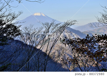 西丹沢の檜洞丸　秋のつつじ新道　展望園地より富士山を望む 88372980
