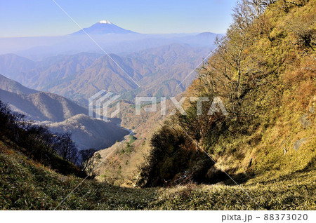 丹沢の熊笹ノ峰より富士山を望む 丹沢の熊笹ノ峰より富士山を望む 88373020