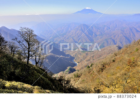 丹沢主稜より紅葉の山並みに聳える富士山 88373024