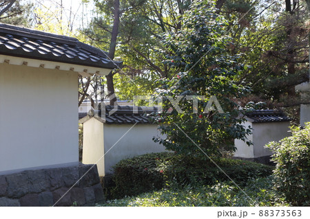 忍城址の城壁の配置はどのように決めたんでしょうか 88373563