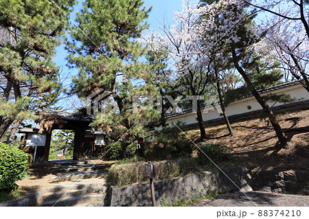 忍城址に移築された伝進修館表門を第一駐車場側から撮影 88374210