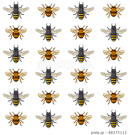 Bee and Wasp Seamless Pattern on White Background. Vector Bee and Wasp Seamless Pattern on White Background. Vector 88375115