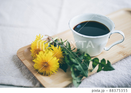 たんぽぽコーヒーのイメージ素材 88375355