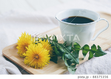 たんぽぽコーヒーのイメージ素材 88375356