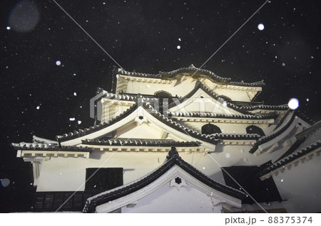 牡丹雪の舞う彦根城　滋賀 88375374