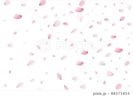 Sakura petals background. Cherry petals 88375854