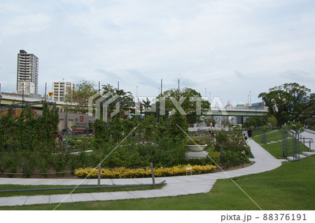 中之島公園 88376191