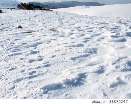 シュカブラ 波のような風雪紋 シュカブラ 波のような風雪紋 88376247