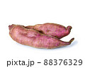 Sweet potato close up on the white background 88376329