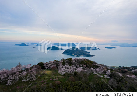 香川県三豊市の紫雲出山の桜と瀬戸内海 香川県三豊市の紫雲出山の桜と瀬戸内海 88376918
