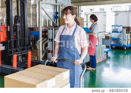 倉庫で作業を行う女性スタッフ 倉庫で作業を行う女性スタッフ 88380058