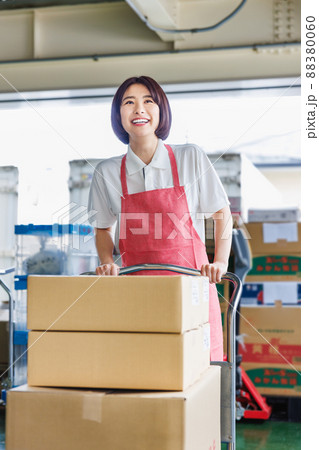 倉庫で作業を行う女性スタッフ 倉庫で作業を行う女性スタッフ 88380060