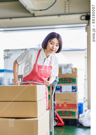 倉庫で作業を行う女性スタッフ 倉庫で作業を行う女性スタッフ 88380097