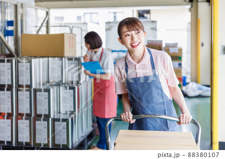 倉庫で作業を行う女性スタッフ 倉庫で作業を行う女性スタッフ 88380107