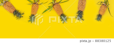 Pattern with bright pineapples on yellow background. Top View. Copy Space. Minimal style. Pop art design, creative summer concept. Banner Pattern with bright pineapples on yellow background. Top View. Copy Space. Minimal style. Pop art design, creative summer concept. Banner 88380125