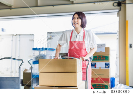 倉庫で作業を行う女性スタッフ 倉庫で作業を行う女性スタッフ 88380399