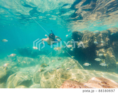 young men snorkeling exploring underwater coral reef landscape background in the deep blue ocean with colorful fish and marine life 88380697