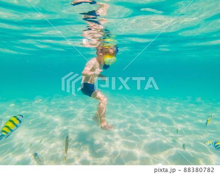 Underwater nature study, boy snorkeling in clear blue sea 88380782