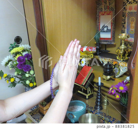 仏壇の前で合掌 88381825