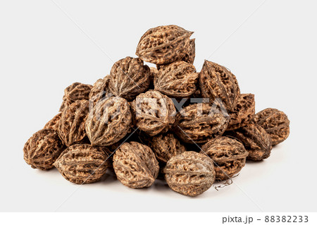 slide of natural hazelnuts in a shell on a white background slide of natural hazelnuts in a shell on a white background 88382233