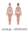 Black woman figure standing, silhouette, front and back view. Male body anatomy diagram. Removable underwear. Vector illustration 88382402