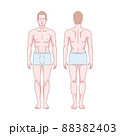 White man figure standing, silhouette, front and back view. Male body anatomy diagram. Removable underwear. Vector illustration 88382403