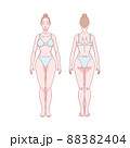 White woman figure standing, silhouette, front and back view. Male body anatomy diagram. Removable underwear. Vector illustration 88382404