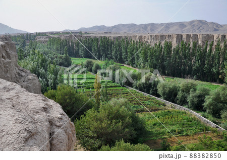 シルクロード　中国　新疆ウイグル自治区　トルファン　世界文化遺産　交河故城 88382850