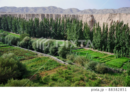 シルクロード　中国　新疆ウイグル自治区　トルファン　世界文化遺産　交河故城 88382851