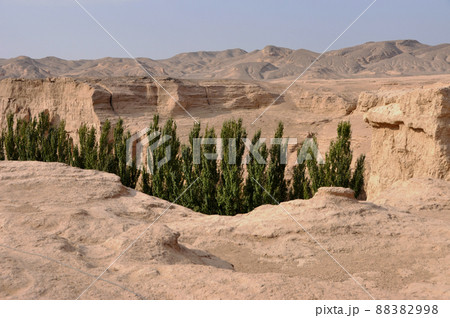 シルクロード　中国　新疆ウイグル自治区　トルファン　世界文化遺産　交河故城 88382998