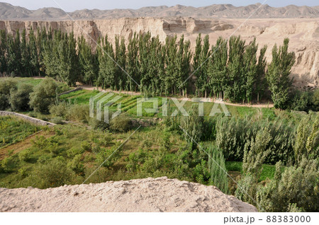 シルクロード　中国　新疆ウイグル自治区　トルファン　世界文化遺産　交河故城 88383000