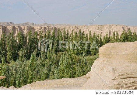 シルクロード　中国　新疆ウイグル自治区　トルファン　世界文化遺産　交河故城 88383004