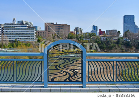 杜の都仙台　早春　広瀬川　評定河原橋の欄干と片平丁の街並み 88383266