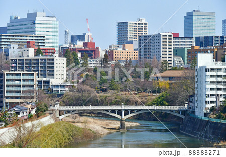 杜の都仙台 早春 広瀬川 御霊屋橋下流 鹿落坂からの眺望 杜の都仙台 早春 広瀬川 御霊屋橋下流 鹿落坂からの眺望 88383271