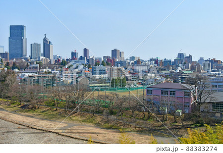 杜の都仙台　早春　広瀬川　御霊屋橋下流　鹿落堂からの眺望 88383274
