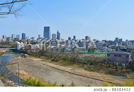 杜の都仙台　早春　広瀬川　御霊屋橋下流　鹿落堂からの眺望 88383422