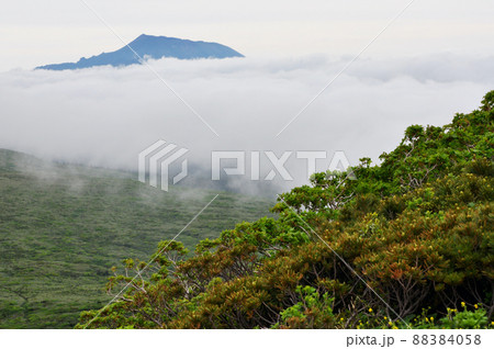 活火山　秋田駒ヶ岳　しゃくなげコース　雲海に浮かぶ岩手山 88384058