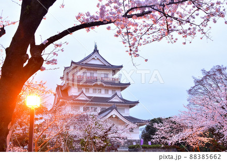 春の千葉城 春の千葉城 88385662