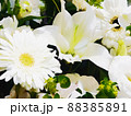 たくさんの白い花 88385891