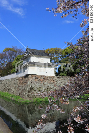 春の府内城跡 88386040
