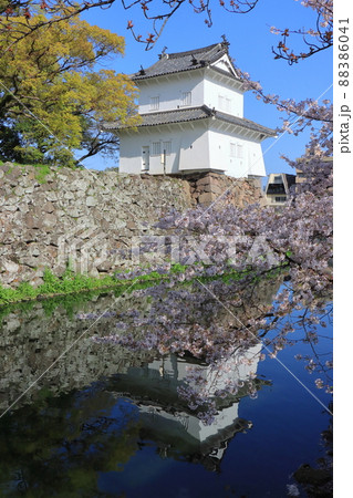 春の府内城跡 春の府内城跡 88386041