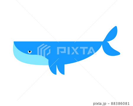 Blue cute whale isolated marine animal , Vector illustration Blue cute whale isolated marine animal , Vector illustration 88386081