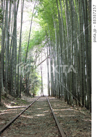 鉄道 廃線跡と竹林 鉄道 廃線跡と竹林 88387257