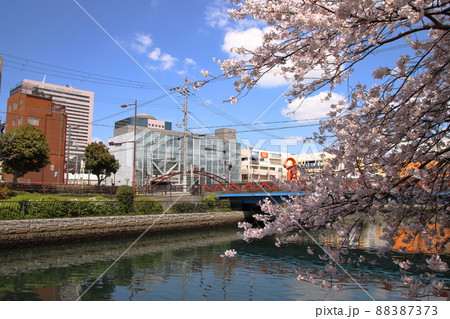 堺市土居川沿いの風景・南海堺駅 堺市土居川沿いの風景・南海堺駅 88387373
