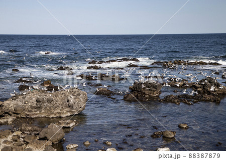 積丹の海 積丹の海 88387879