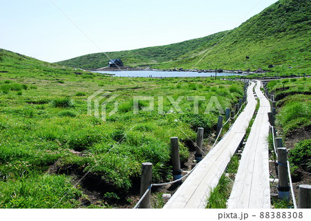 活火山　秋田駒ケ岳　片倉岳展望台から阿弥陀池に至る木道 88388308