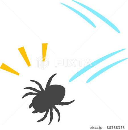 ジャンプするクモ ジャンプするクモ 88388353